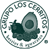 Grupo Los Cerritos